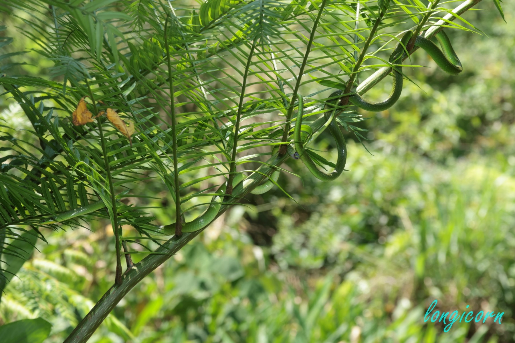 131A8921.JPG