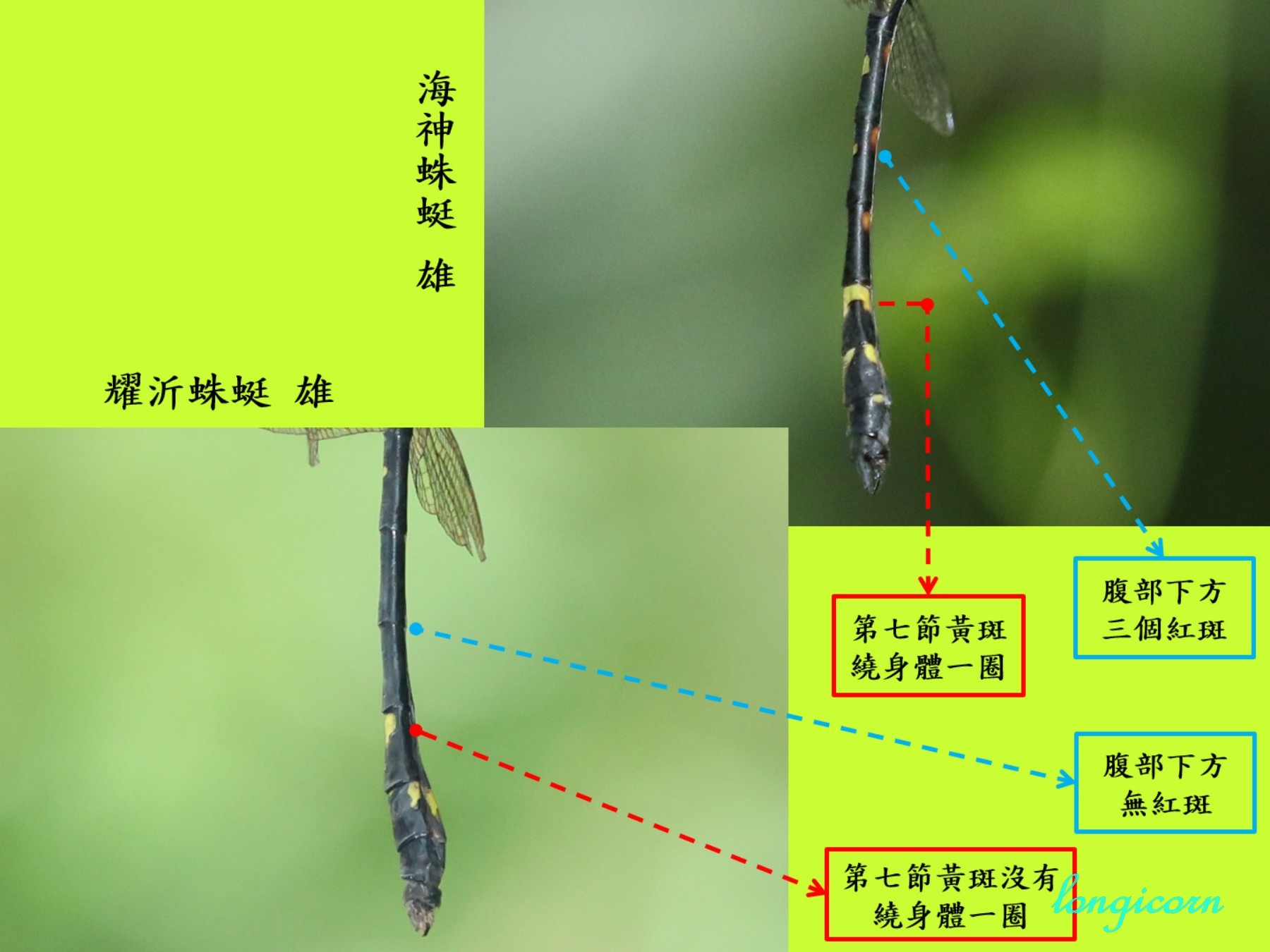 海神耀沂比較圖2.jpg
