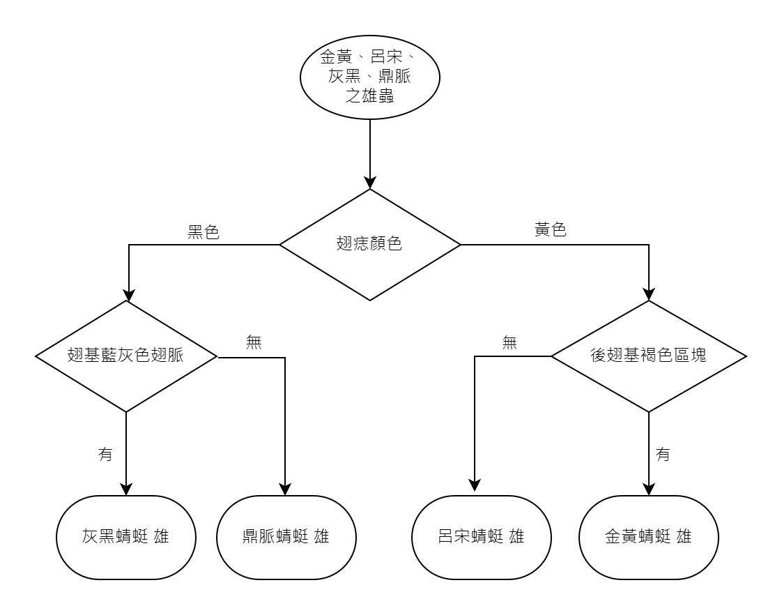 灰蜻屬雄蟲辨識.jpg